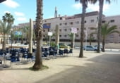 441m² commercial premises for sale in Elche, in the area of The Sands of the Sun, photo