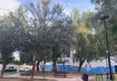 361m² commercial premises for sale in El Ejido, Calle Alcornoque photo