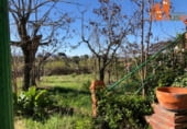 Edificio en venta con 1192m² en Segovia, Cuesta de los Hoyos foto