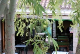 Foto 8