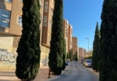 Local comercial en venta con 1472m² en Cartagena, en la zona de Casas de Sevilla, Avenida Francisco de Córdoba foto