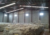 Nau Industrial
en venda
amb 4001m² a Molina de Segura, Calle de Porto Alegre foto