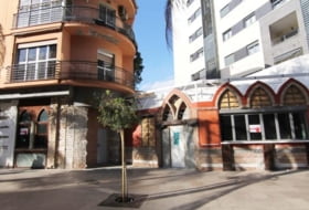 Foto 1