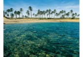 Hotel en venta con 5500m² en Denia, Paseo del Saladar foto