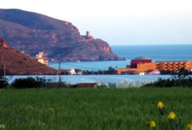 Foto 1