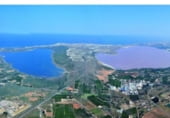 Cafeteria
en venda
amb 1000m² a Oriola, Urbanización Villagolf foto