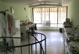 Foto 7