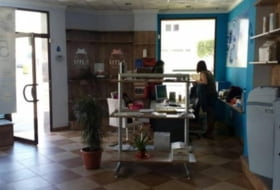 Foto 5