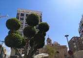 Local comercial
en venda
amb 291m² a Almeria, Calle Granada foto