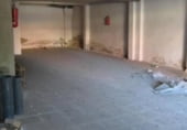 Local comercial
en venda
amb 253m² a Elx, Calle León Sánchez Sáez foto