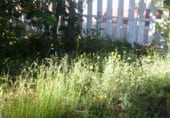 331m² commercial premises for sale in Cacabelos, Calle Los Negrillos photo