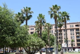 Foto 14
