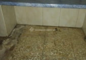 Bar en venta con 70m² en Cáceres, en la zona de El Rodeo, El Rodeo foto