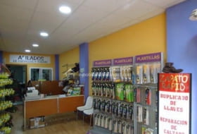 Foto 1