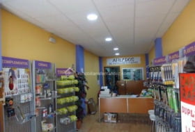 Foto 2