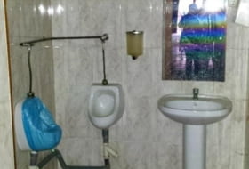Foto 7
