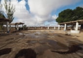 Restaurante en venta con 236m² en Tomelloso, Autovía de los Viñedos foto