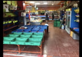 Local comercial en venta con 235m² en Cullera, avinguda blasco ibáñez, 46400 foto