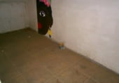 78m² commercial premises for sale in Tafalla, Calle Juanito Navarro photo