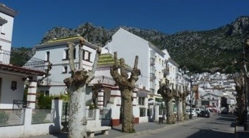 Local comercial