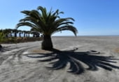 Local comercial en venta con 204m² en Motril, Camino del Pelaillo foto