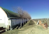 1424m² warehouse industrial for sale in Monreal del Campo, photo