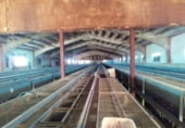 1424m² warehouse industrial for sale in Monreal del Campo, photo