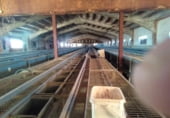 1424m² warehouse industrial for sale in Monreal del Campo, photo