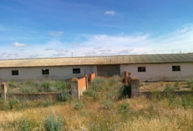 Foto 10