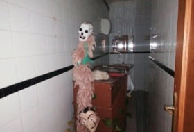Foto 7