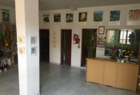 Foto 8