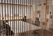 Oficina en venta con 50m² en Valencia, en la zona de El Mercado, Calle Adresadors foto