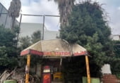 Bar
en venda
amb 7000m² a Sollana, Calle Valencia foto