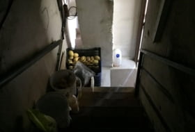 Foto 9