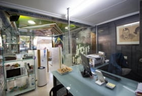 Foto 7