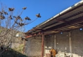 158m² warehouse industrial for sale in Estella, avenida pamplona photo