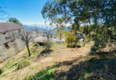 217m² locaux commerciaux pour vente à Sorvilán, GR-6203 photo