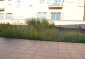 Local comercial en venta con 100m² en Inca, Avinguda del Raiguer foto