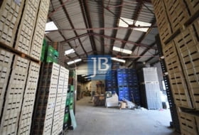 Foto 15