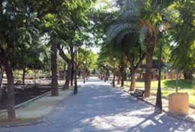 Foto 14