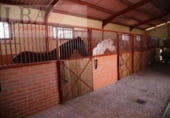 Cafetería en venta con 2000m² en Bailén, Calle Travesía foto