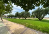 Local comercial en venta con 250m² en Santomera, en la zona de Torre Guil, Camino del Palmeral foto
