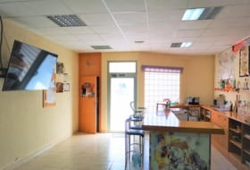 Foto 1