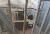 Local comercial
en venda
amb 110m² a Elx, Calle Doctor Sapena foto
