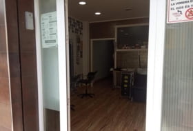 Foto 8