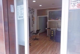 Foto 11