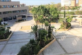 Foto 14