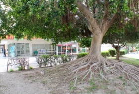 Foto 6