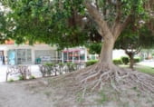 Local comercial
en venda
amb 60m² a Benidorm, Avenida de Murcia foto