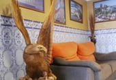 Hotel en venta con 2000m² en San Javier, Calle San Antonio foto